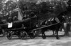 [Men with horse-drawn float at St. Stephen's Green]