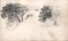 [Pencil sketch of trees]