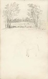 [Pencil sketch showing view of the obelisk at Obelisk Park, Stillorgan, County Dublin, Ireland with faint sketch of a horse below]