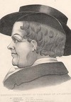 Phrenological survey of the head of an agitator