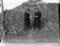 The Independent Newspapers (Ireland) Collection