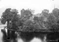 The Lawrence Photograph Collection