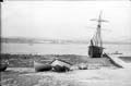 The Lawrence Photograph Collection