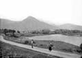 The Lawrence Photograph Collection