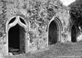 The Lawrence Photograph Collection