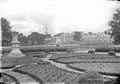 The Lawrence Photograph Collection