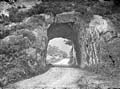 The Lawrence Photograph Collection