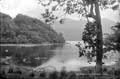 The Lawrence Photograph Collection