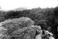 The Lawrence Photograph Collection