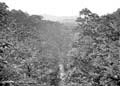 The Lawrence Photograph Collection