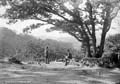 The Lawrence Photograph Collection
