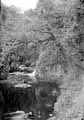 The Lawrence Photograph Collection