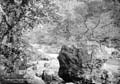 The Lawrence Photograph Collection