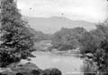 The Lawrence Photograph Collection