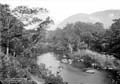 The Lawrence Photograph Collection