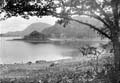 The Lawrence Photograph Collection