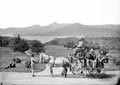 The Lawrence Photograph Collection
