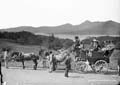 The Lawrence Photograph Collection