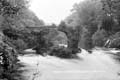 The Lawrence Photograph Collection