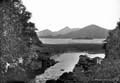 The Lawrence Photograph Collection
