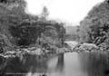 The Lawrence Photograph Collection
