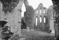 The Lawrence Photograph Collection