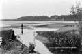 The Lawrence Photograph Collection