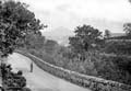 The Lawrence Photograph Collection