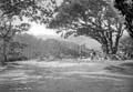 The Lawrence Photograph Collection