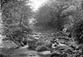 The Lawrence Photograph Collection