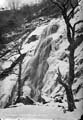 The Lawrence Photograph Collection