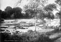 The Lawrence Photograph Collection