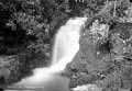 The Lawrence Photograph Collection