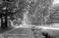 The Lawrence Photograph Collection