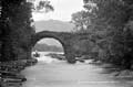 The Lawrence Photograph Collection