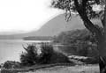 The Lawrence Photograph Collection