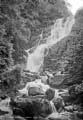 The Lawrence Photograph Collection