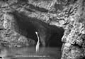 The Lawrence Photograph Collection