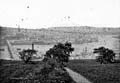 The Lawrence Photograph Collection