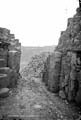 The Lawrence Photograph Collection