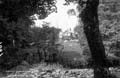 The Lawrence Photograph Collection