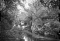 The Lawrence Photograph Collection