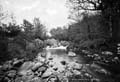 The Lawrence Photograph Collection