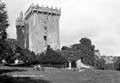 The Lawrence Photograph Collection