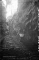 The Lawrence Photograph Collection
