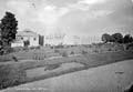 The Lawrence Photograph Collection
