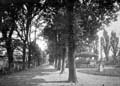The Lawrence Photograph Collection