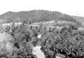 The Lawrence Photograph Collection