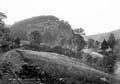 The Lawrence Photograph Collection