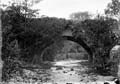 The Lawrence Photograph Collection
